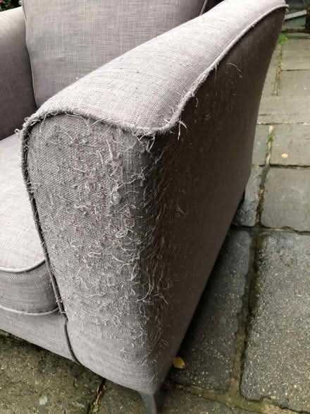 Photo of free Chair (SY22) #2