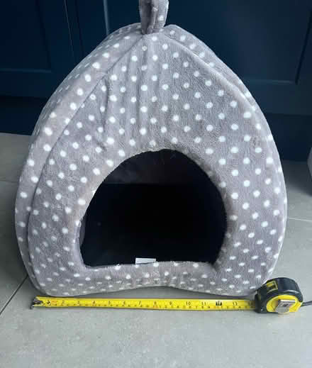Photo of free Cat bed (West Bergholt CO6) #1