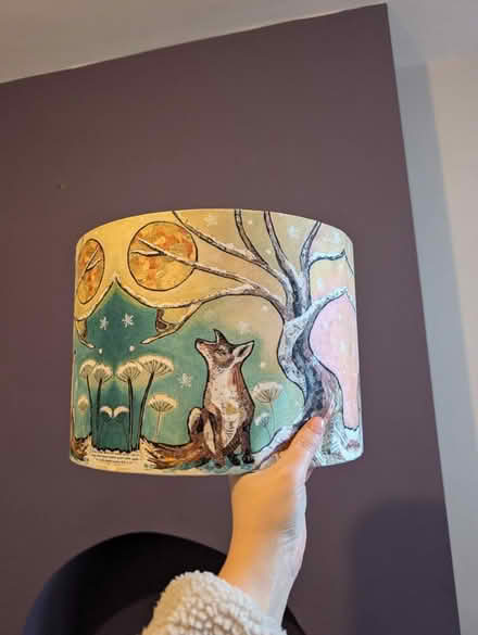 Photo of free Beautiful child's lampshade (Stirchley) #4