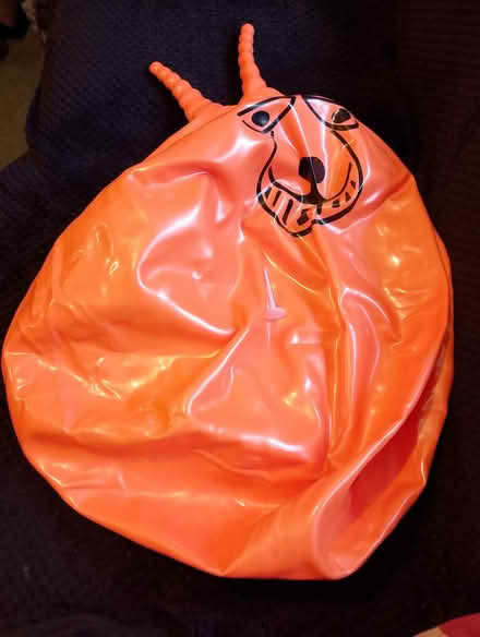 Photo of free Adult size Space Hopper (Waterlooville PO8) #1