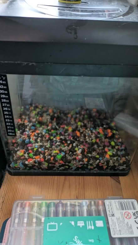 Photo of free Small Fish Tank (Leagrave LU4) #1