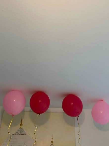 Photo of free Birthday balloons (Portslade) #2