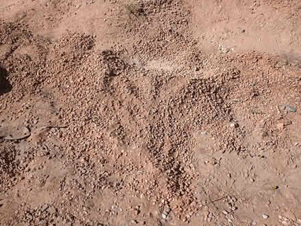 Photo of free fill dirt/gravel (Crestview Bluff) #1