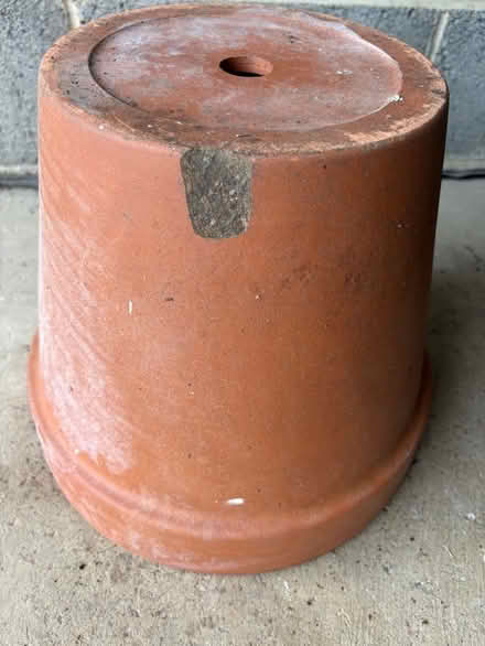Photo of free Terracotta Outdoor Plant Pot (Willington DL15) #4