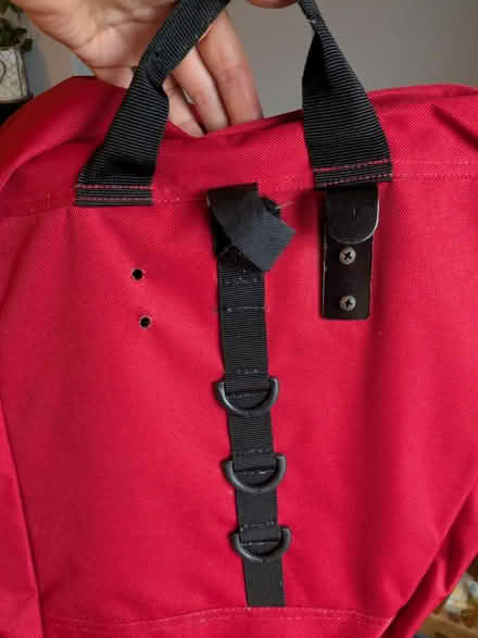 Photo of free Pannier bags (Belper DE56) #2