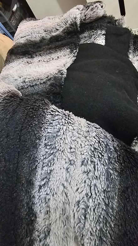 Photo of free 2 faux fur throws / blankets (Canford Heath BH17) #1