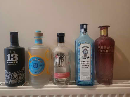 Photo of free EMPTY gin bottles (Senacre ME15) #1
