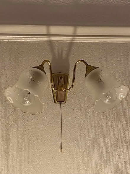 Photo of free Wall lights twin shade (Croxteth L12) #2