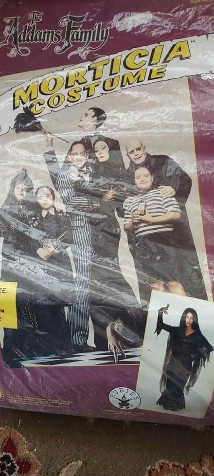 Photo of free Morticia costume (Everett) #1