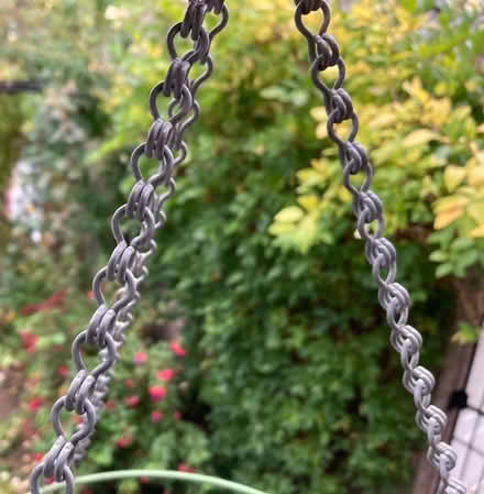 Photo of free A hanging basket (Westbury on Trym BS9) #2