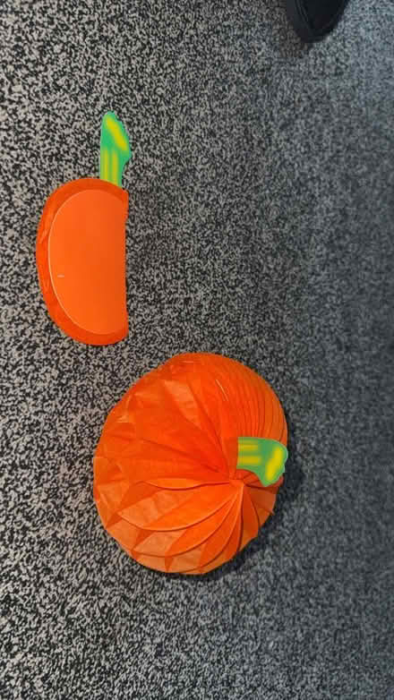 Photo of free Halloween decorations and outfits (Warwick CV34) #2