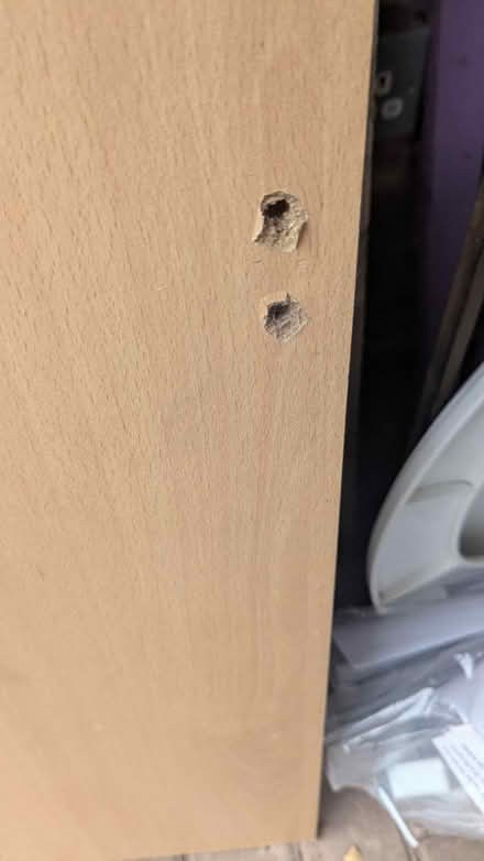 Photo of free Beech Laminate Door/Shelf (RG24 Old Basing) #2