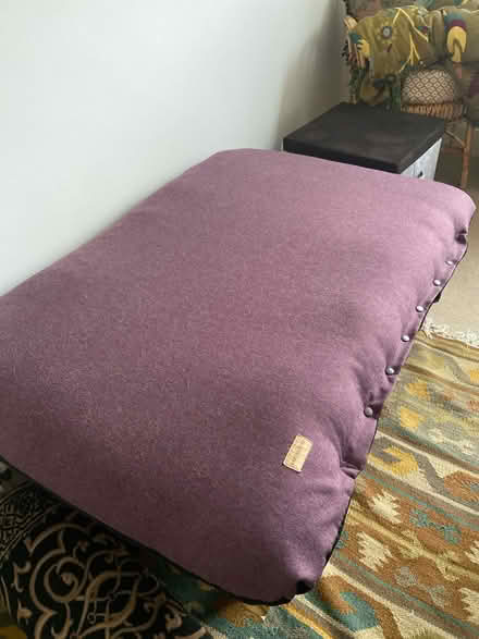 Photo of free Large soft dog mattress (Barnes) #1