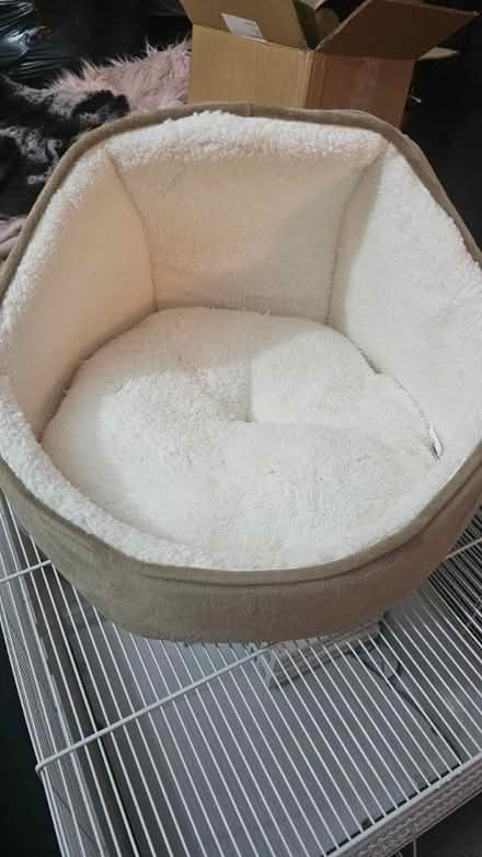 Photo of free Small cat Kitten bed (Canford Heath BH17) #1