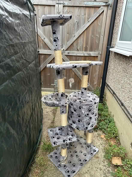 Photo of free Cat tree (Rochford SS4) #1