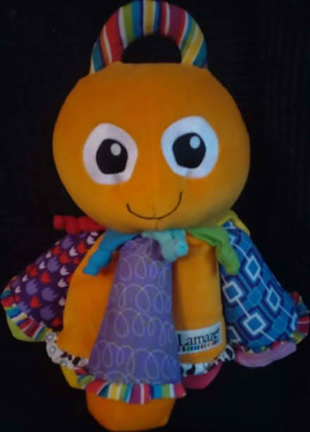 Photo of free Lamaze musical octopus for baby (Clubmoor L4) #1