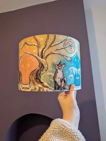 Photo of free Beautiful child's lampshade (Stirchley) #1