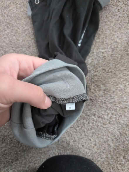 Photo of free Buster dog suit (Headington OX3) #2