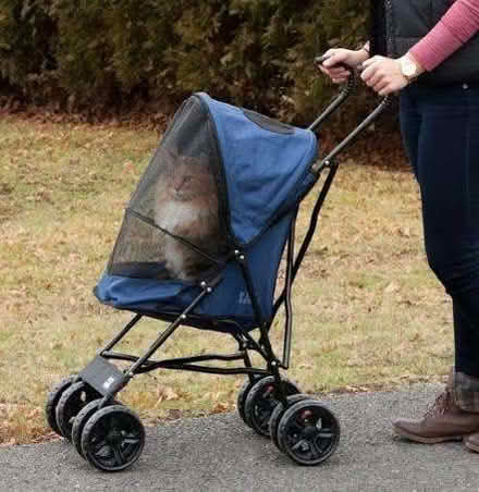Photo of Stroller/buggy for a cat (Florence Park OX4) #1