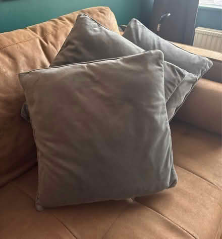 Photo of free 4 x grey velvet cushions (SL6 Maidenhead) #1