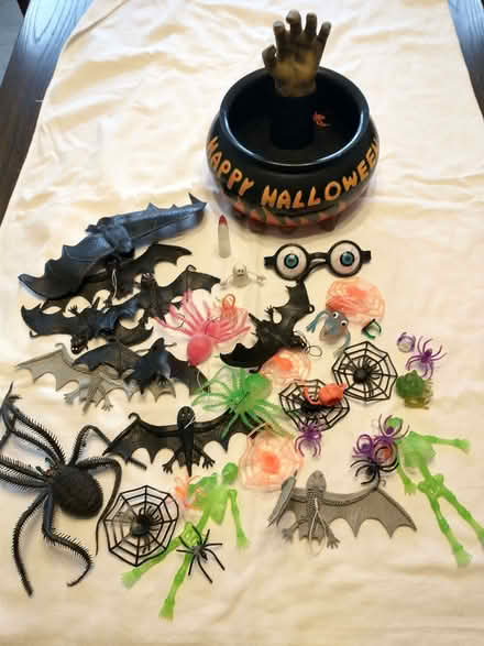 Photo of free Halloween decorations (Ainsdale PR8) #3