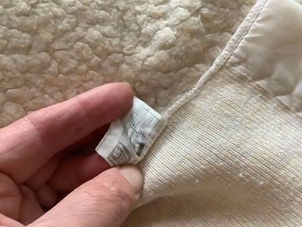 Photo of free Single fleecy under blanket (Bear Flat) #3