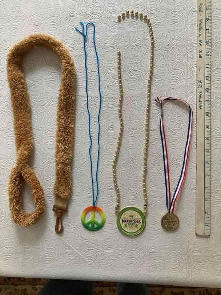 Photo of free Halloween costume accessories? (Spring Hill, Somerville) #1