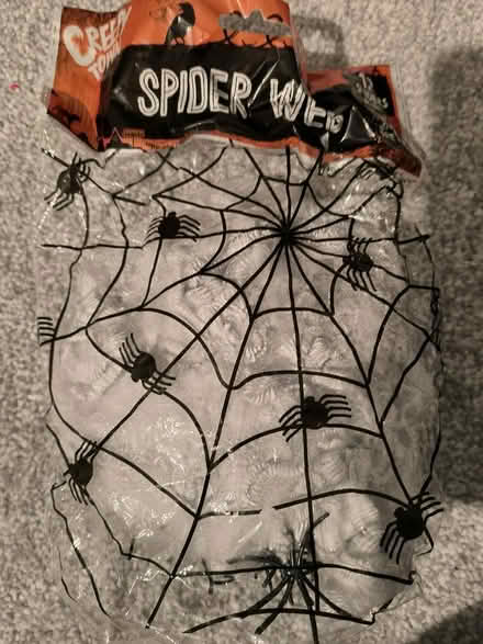Photo of free Halloween spiders web (Colwick NG4) #1