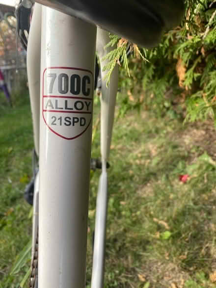 Photo of free Old bike - needs (Nepean) #2