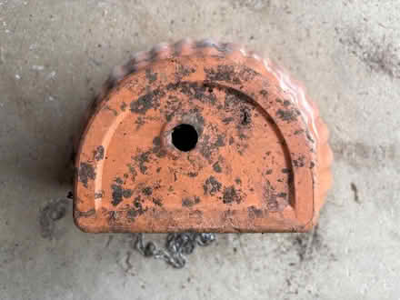 Photo of free Terracotta Hanging Wall Pot (Willington DL15) #3