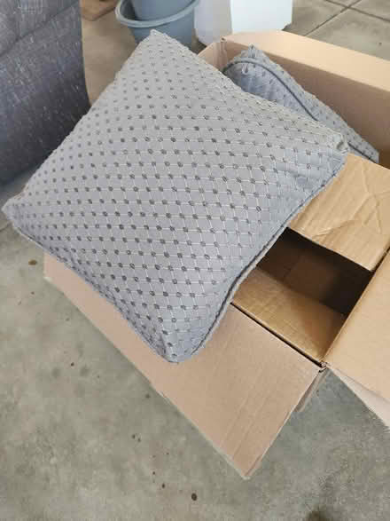Photo of free 2 gray pillows (southeast Fort Collins) #1