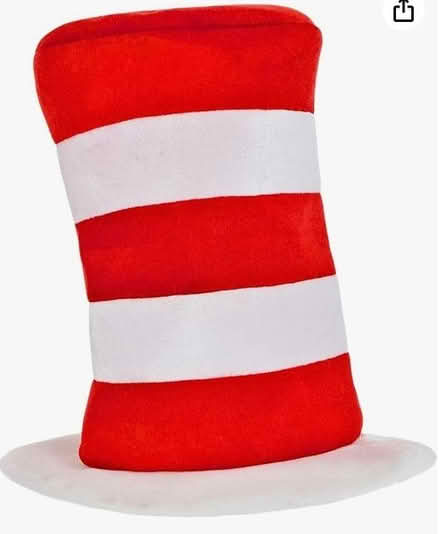 Photo of items for Drama program (Central Park) #4