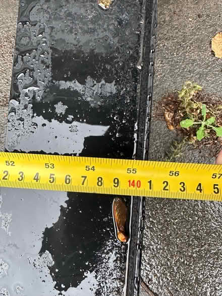 Photo of free Chair trolley (Windsor SL4) #4