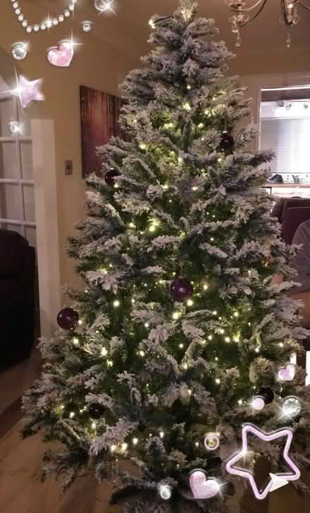 Photo of free Quality 7 ft Alpine Snow Christmas Tree (Hempstead Valley ME8) #2