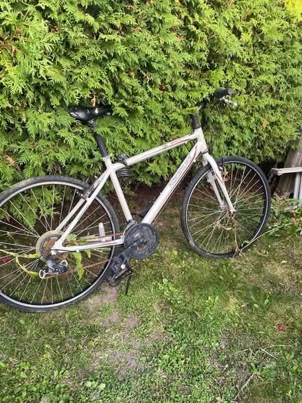 Photo of free Old bike - needs (Nepean) #1