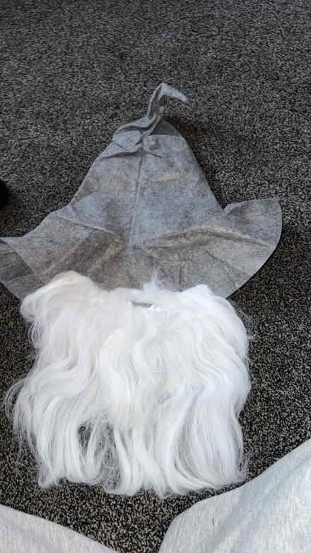 Photo of free Halloween decorations and outfits (Warwick CV34) #1