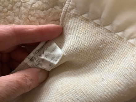 Photo of free Single fleecy under blanket (Bear Flat) #2