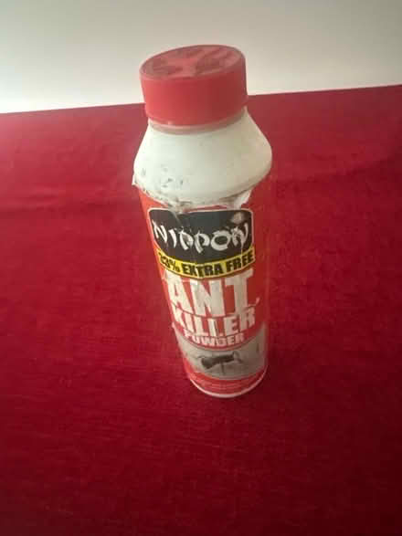 Photo of free Ant Killer Powder (Norham Manor OX2) #1