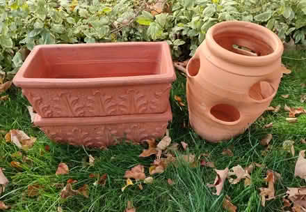 Photo of free Terra Cotta Planters (Barrhaven (Walter Baker Area)) #1