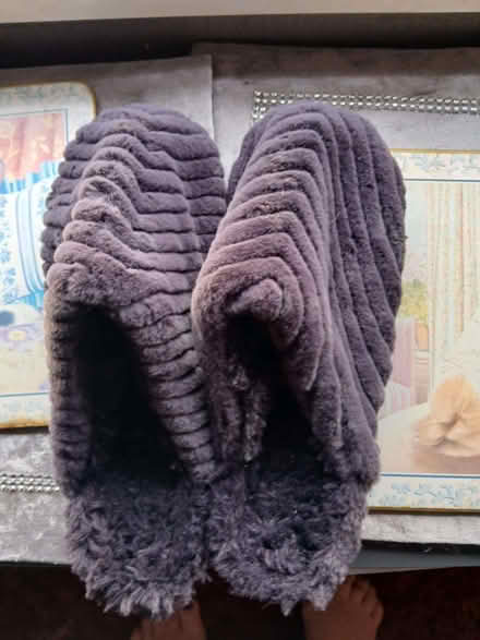 Photo of free Slippers size 6 (Little Chester DE1) #1