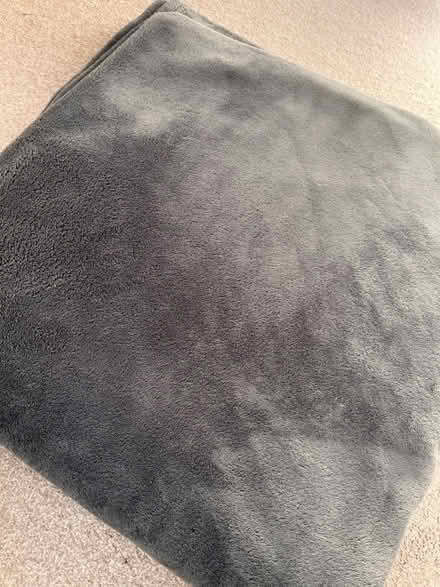 Photo of free Large bed cover (Craigour EH17) #1