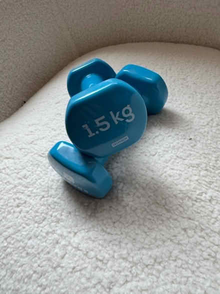 Photo of free 1.5kg dumbbells (Kensington W8) #2