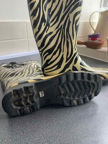 Photo of free Ladies wellies size 7 (Welling DA16) #2