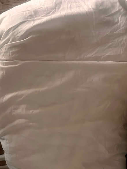 Photo of free Double bed duvet (Clarehall) #1