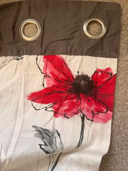 Photo of free A pair of curtains (Craigour EH17) #2