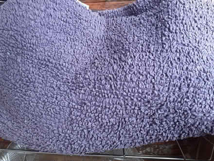 Photo of free Bath mat (TW3 Hounslow) #1
