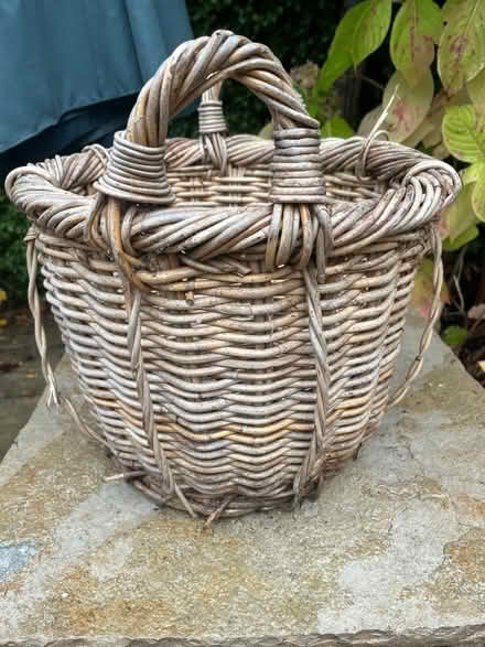Photo of free Basket plant holder (Dundrum) #3