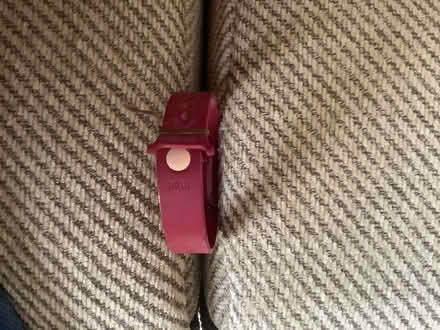 Photo of free Fitbit (Oakridge RG21) #2