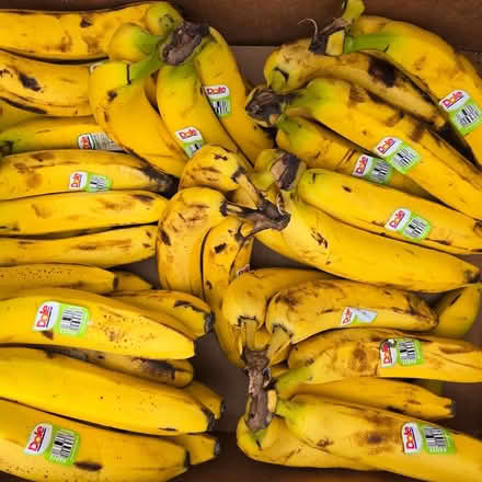 Photo of free Ripe Bananas (Chiquita Av MtnVw) #1