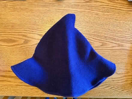 Photo of free Purple Harry Potter hat (San Jose Burbank Area) #1